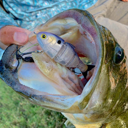 Catch Co Mike Bucca's Baby Bull Shad Swimbait 3.75" 1/2 oz Gizzard Shad