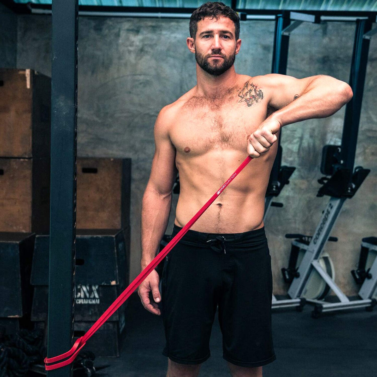 WOD Nation Pull Up Assistance Bands (10-175lbs Band) - Best for Pullup Assist, Chin Ups, Resistance Bands Exercise, Stretch, Mobility Work & Serious Fitness - 41 inch Straps