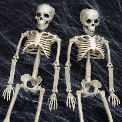 UMEELR 5Pcs Hanging Skeleton Halloween Decorations, 16in Movable Joints Realistic Full Body Poseable Plastic Skeleton for Yard Garden Patio Haunted House Halloween Party Decoration