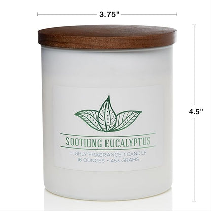 Carolina Soothing Eucalyptus Scented Candle, 16 oz Wellness Relaxing Aromatherapy Candle, 2 Wick White Jar Soy Blend Wax, Candles for Home, 60H Burn - Made in The USA