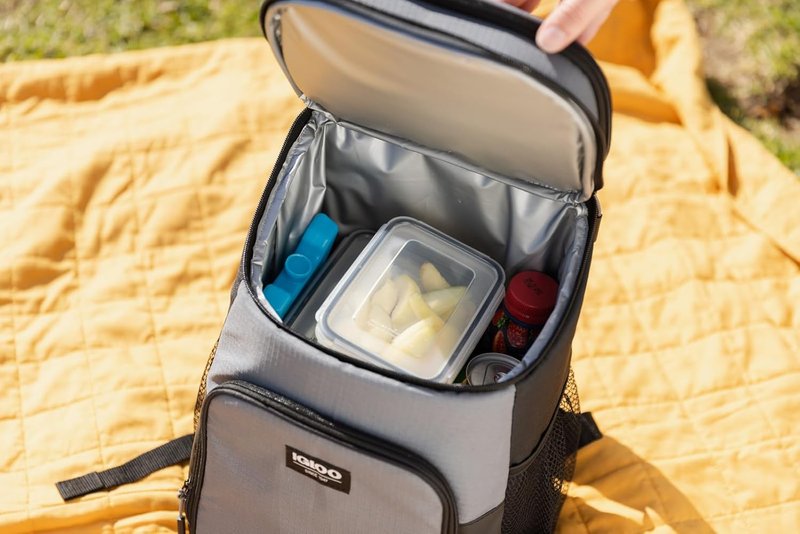 Igloo Maxcold Ice Block - Durable Insulated Ice Pack for Long-Lasting Coolness | 10 lbs
