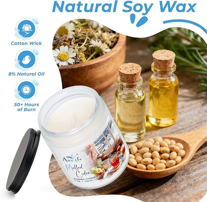 Winter Forest Candle | Pine Cedarwood Scented Soy Candles - Fresh Evergreen Aromatherapy Candles for Home, Holiday Candle Gift for Women & Men, Winter Christmas Home Décor