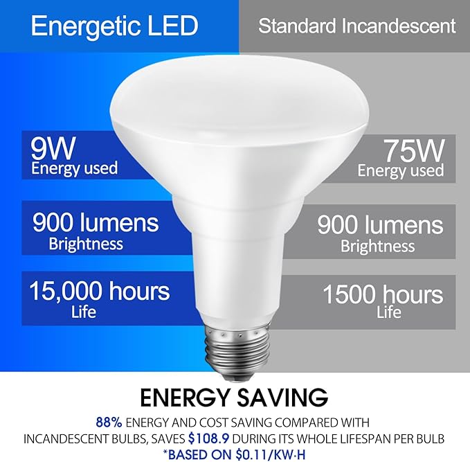 Energetic BR30 LED Recessed Light Bulb, 9W=75W, 3000K Warm White, 900LM, Dimmable Ceiling Flood Light Bulb for Cans, CRI80+, 2Pack