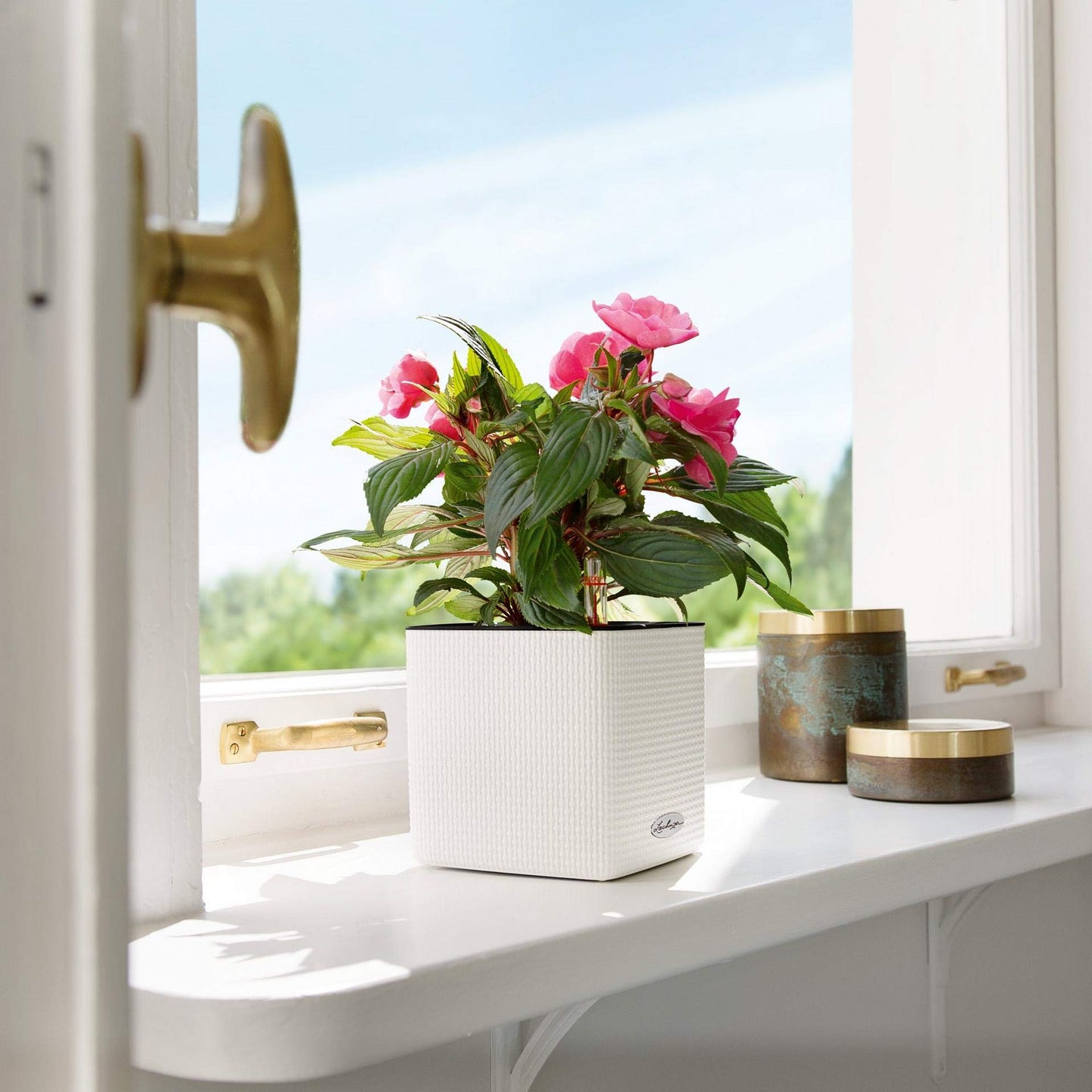 Lechuza Cube Color 16 Self Watering Plant Pot, White, 17 cm Diameterx 17 cm Width x 16 cm Height