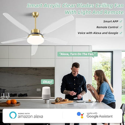 OKELI Smart Ceiling Fans with Light and Remote, Voice Control via WiFi Alexa App, 58 Inch Modern Clear Blades Gold Alexa Ceiling Fan Reversible Dimmable LED Ceiling Fan for Living Room