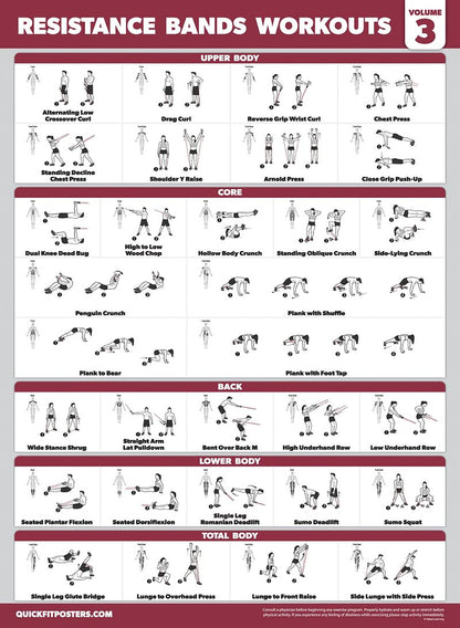 Palace Learning 4 Pack - Resistance Bands Workout Posters Volume 1, 2 & 3 + Bodyweight Exercise Chart (LAMINATED, 18" x 24")