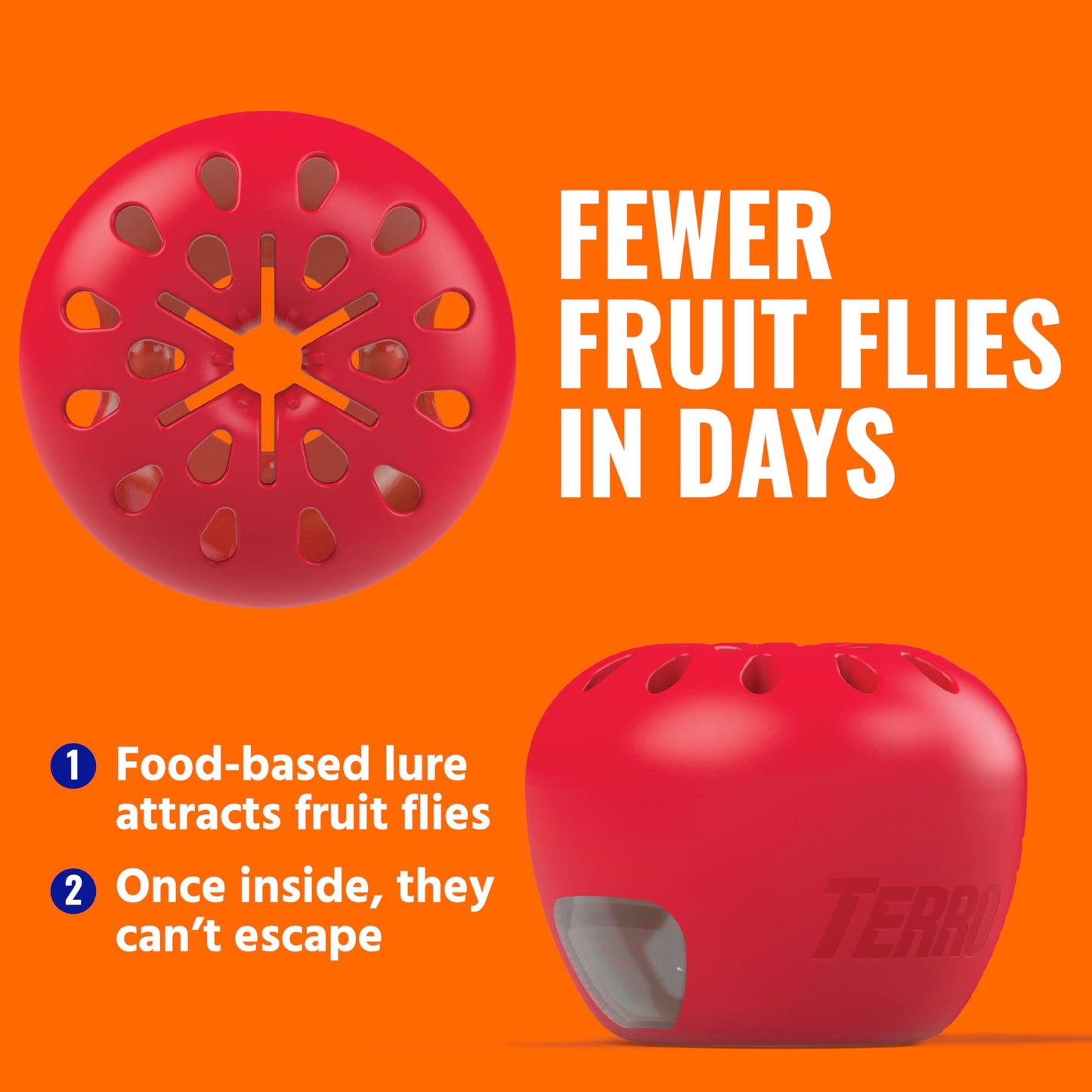 TERRO Fruit Fly Traps for Indoors (4 Pack) + 180 Days of Lure Supply