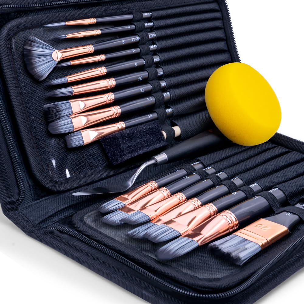 Transon 20Pcs Art Paint Brush Kit with Storage Case, 16 Brushes + Foam Brush Spatula Sponge for Acrylic Oil Watercolor Gouache, Adults Teens Beginners Art Supplies