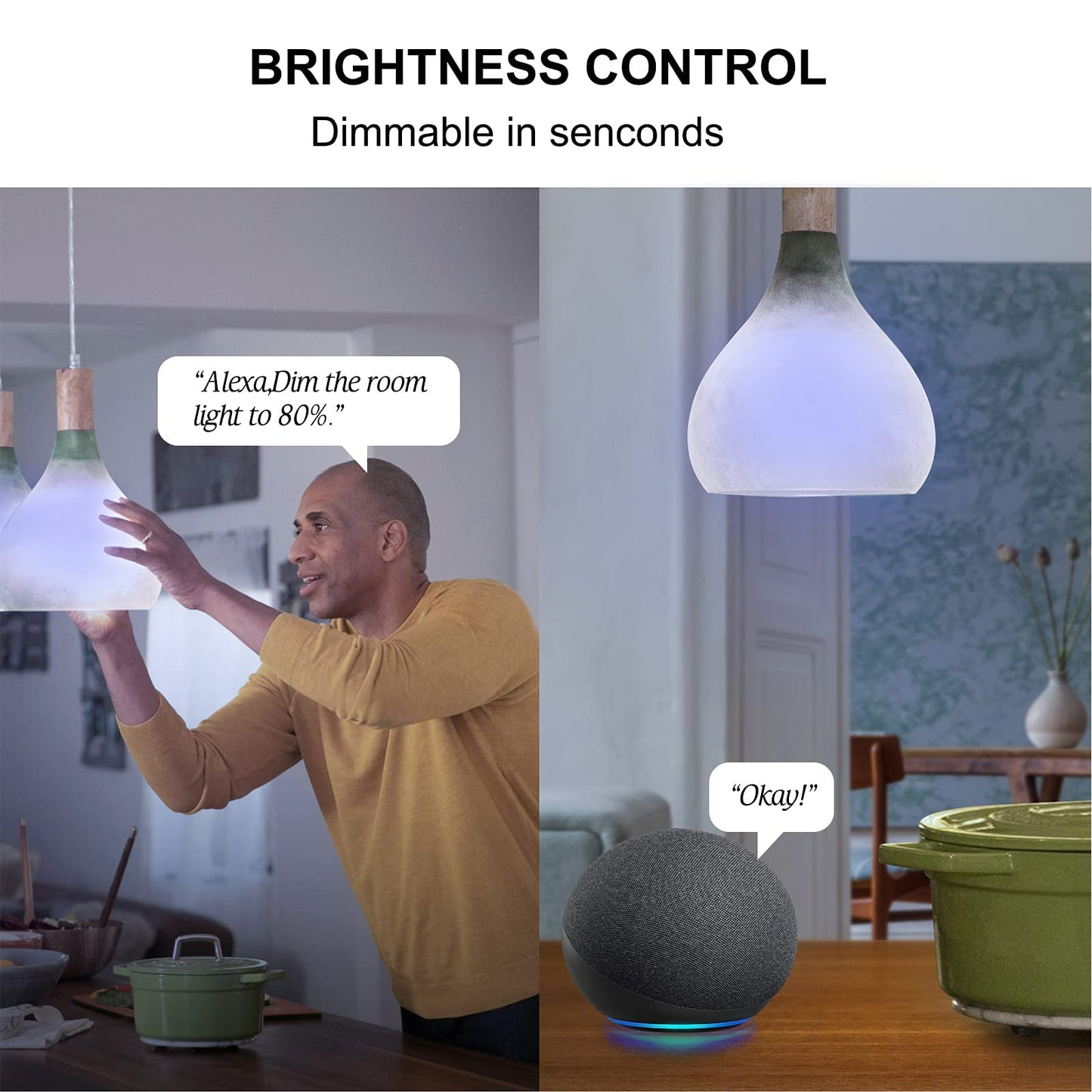 Sengled WiFi Color Changing Light Bulb, Alexa Smart Light Bulbs that Compatible with Alexa & Google Assistant, A19 RGB No Hub Required, 75 W Equivalent 800LM CRI>90, Set of 4