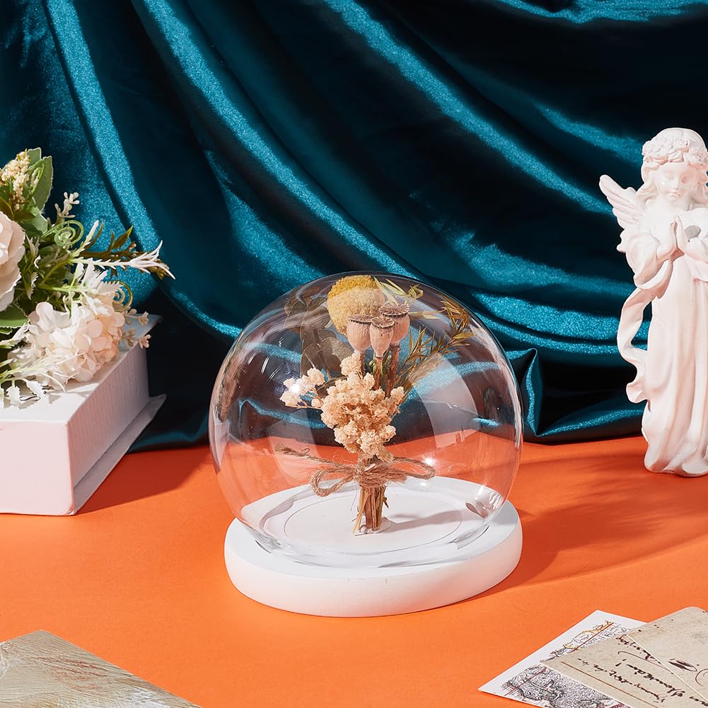 NBEADS Glass Display Dome Cloche, Eternal Flower Glass Dome Cover with Wood Base Anti-Shedding Design Arch Bell Jar Cloche for Centerpieces Plants Rocks Specimens Decorations Crafts, 4.5x4.7inch
