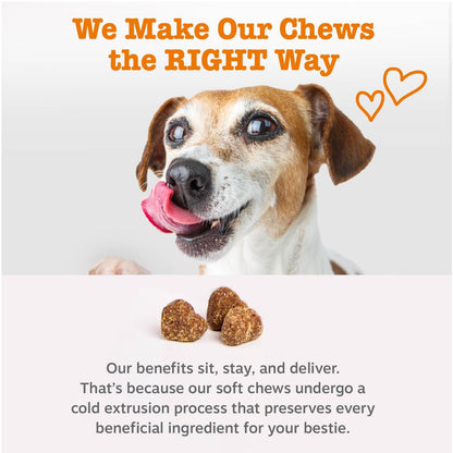 Zesty Paws Dog Multivitamin, Chewable Dog Vitamins and Supplements for Hip & Joints, Skin & Coat, Omega 3 Fish Oil for Dogs- Senior & Puppy Multivitamin- Chicken- 90ct
