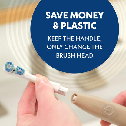 Spinbrush Smart Clean Battery Powered Electric Toothbrush for Adults with Dual Action Head, Pacer & Timer, Champagne, Soft Bristles, 1 Count