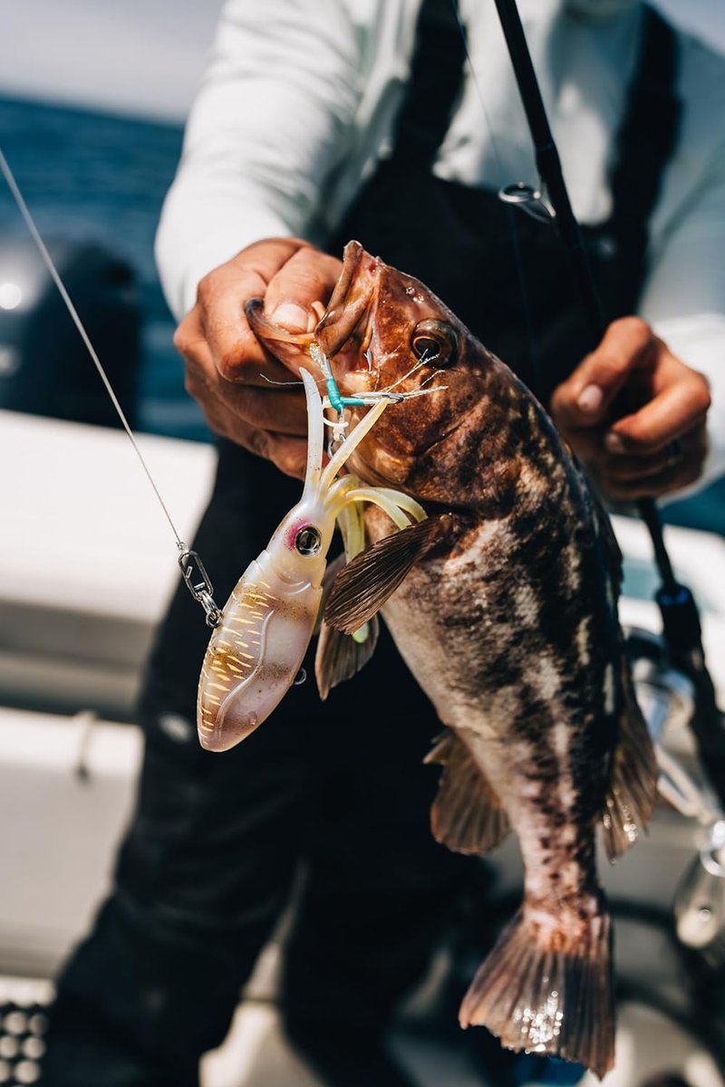 Nomad Design Squidtrex Vibrating Fishing Lure - TPE Soft Plastic Bait for Saltwater Fishing | Strong BKK Assist Hooks
