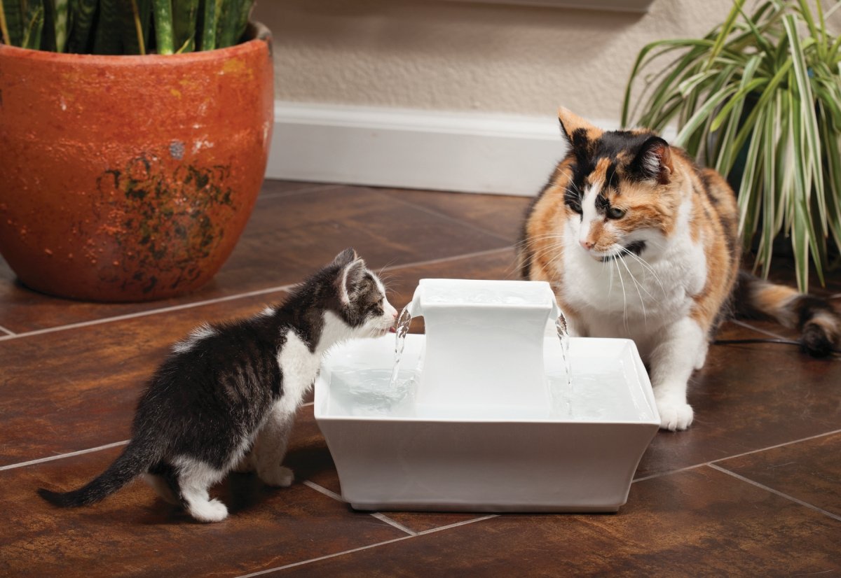 PetSafe Drinkwell Pagoda Ceramic Cat & Dog Water Fountain, 70oz Capacity, Encourages Hydration, Open Bowl Design, White