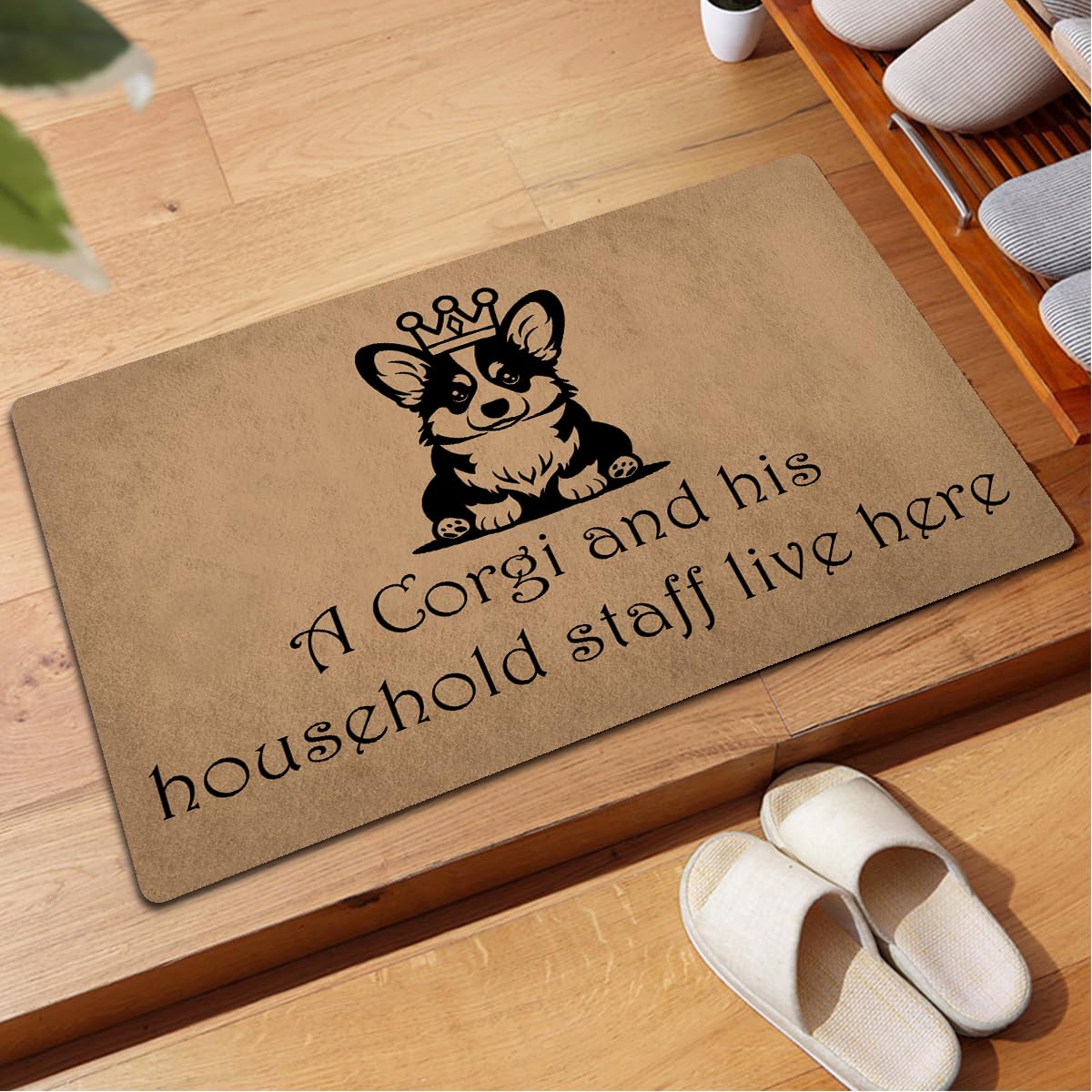 GXFC ZHAO Funny Welcome Doormats Decorative Area Rugs for Entrance Novelty Gift Mat Front Door Porch Patio Mats(23.7 X 15.9 in) (A Corgi and His Household Live Here Dog Lover)