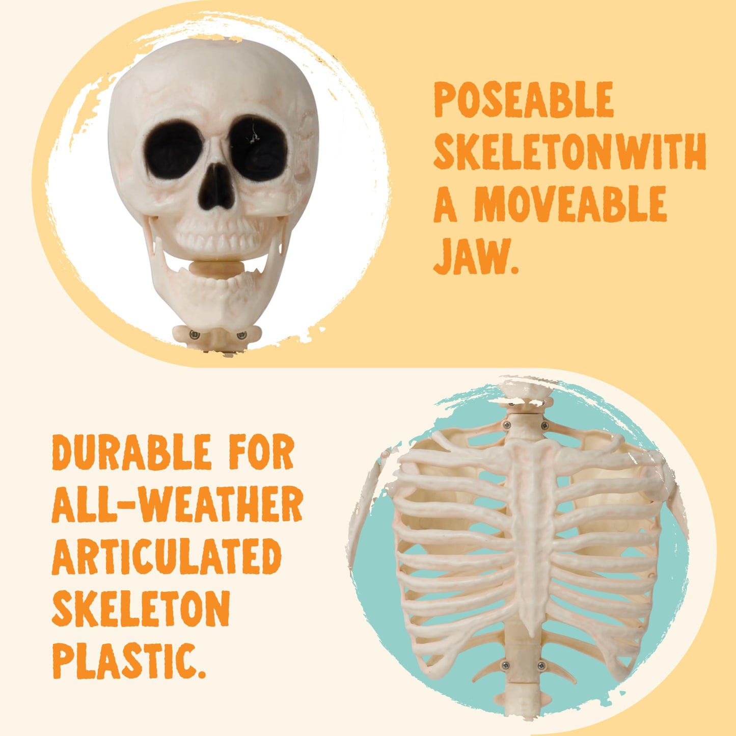 JOYIN 2PCS 36" Halloween Skeleton Decor, 3FT Full Body Stayable Movable Joints, Posable Hanging Skeletons for Halloween Decoration, Yard, Graveyard, Haunted House Props, Spooky Scene Party Favor