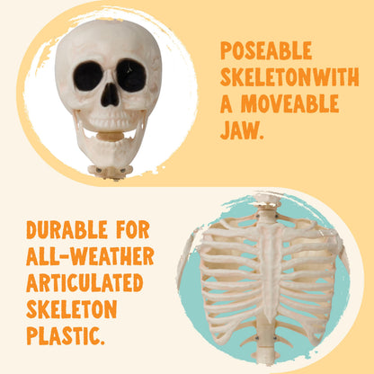 JOYIN 2PCS 36" Halloween Skeleton Decor, 3FT Full Body Stayable Movable Joints, Posable Hanging Skeletons for Halloween Decoration, Yard, Graveyard, Haunted House Props, Spooky Scene Party Favor