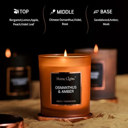 HomeLights Luxury Scented Candle, Natural Soy Wax, Home Fragrance Decor Gift, Osmanthus & Amber, Medium Jar