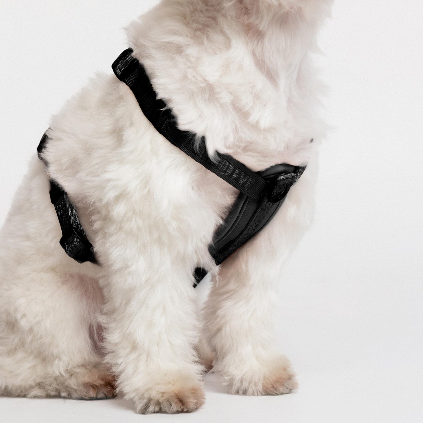 Fei & Eve Moxie H-Shape Dog Harness | Ultra-Lightweight | 3-Leash System for No-Pull Control | Easy On-Off | Adjustable 210D Breathable Nylon | Soft Padded Lining, Black, XS