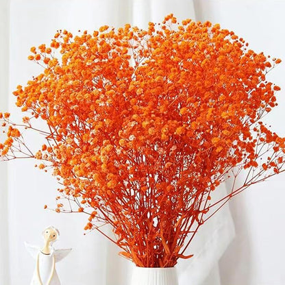Dried Babys Breath Flowers Bouquet-17 Inch 2500+ Ivory Orange Dry Flowers, Natural Gypsophila Branches for Wedding Flowers, Table Vase Decor, DIY Wreath Floral, Home Office Party Garden Decoration
