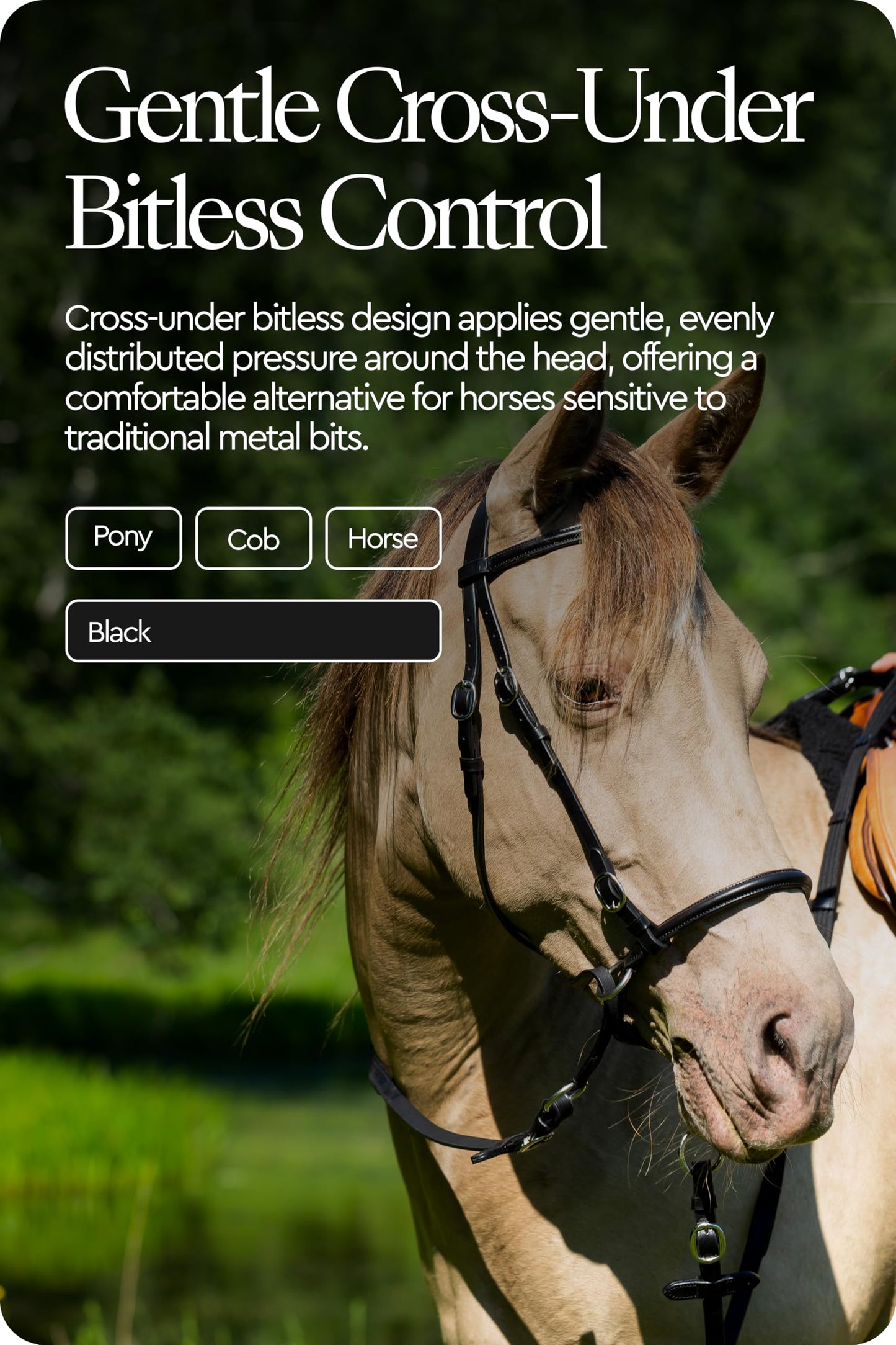 HORZE Genuine Leather Cross-Under Bitless Bridle | Web Reins Included - Black - Horse