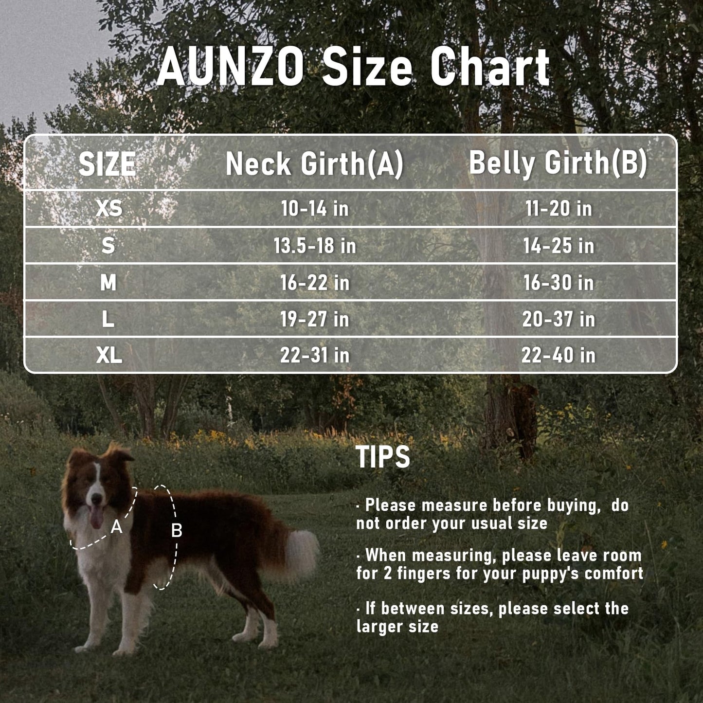 Dog Vest Harness for Medium Sized Dogs No-Pull Tactical Harness with 2 Metal Leash Clips, Easy On/Off with Neck Buckle, Adjustable Soft Padded Reflective Oxford Dog Vest with Easy Control Handle