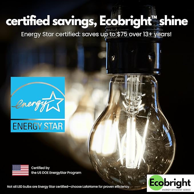 EcoBright 12PK Dimmable A19 LED Filament Bulb, 10W (100W Equivalent), E26 Base, 1100 Lumens, CRI90+, Flicker-Free Clear Glass, Energy Star Title 20, Daylight 5000K