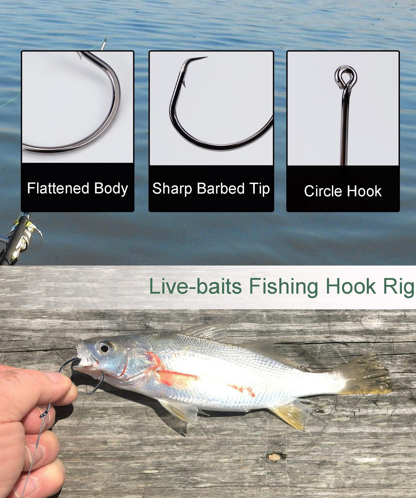 Uxwuy Fishing Circle Hooks Saltwater 50pcs Leader Hook Rigs for Catfish Bass With Offset Hooks