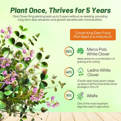 Outsidepride Perennial Clover King Seed Mix - 5 lbs Nitrocoated, Inoculated, Heat & Cold Tolerant, Alfalfa-Enhanced Food Plot Seeds for Deer & Wildlife, Ideal for Spring, Summer, & Winter Food Plots