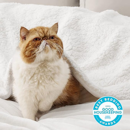 Bedsure GentleSoft Sherpa Fleece Throw Blanket for Couch - Thick and Warm, Soft Fuzzy Plush Throw Blanket for Winter, White, 50x60 Inches