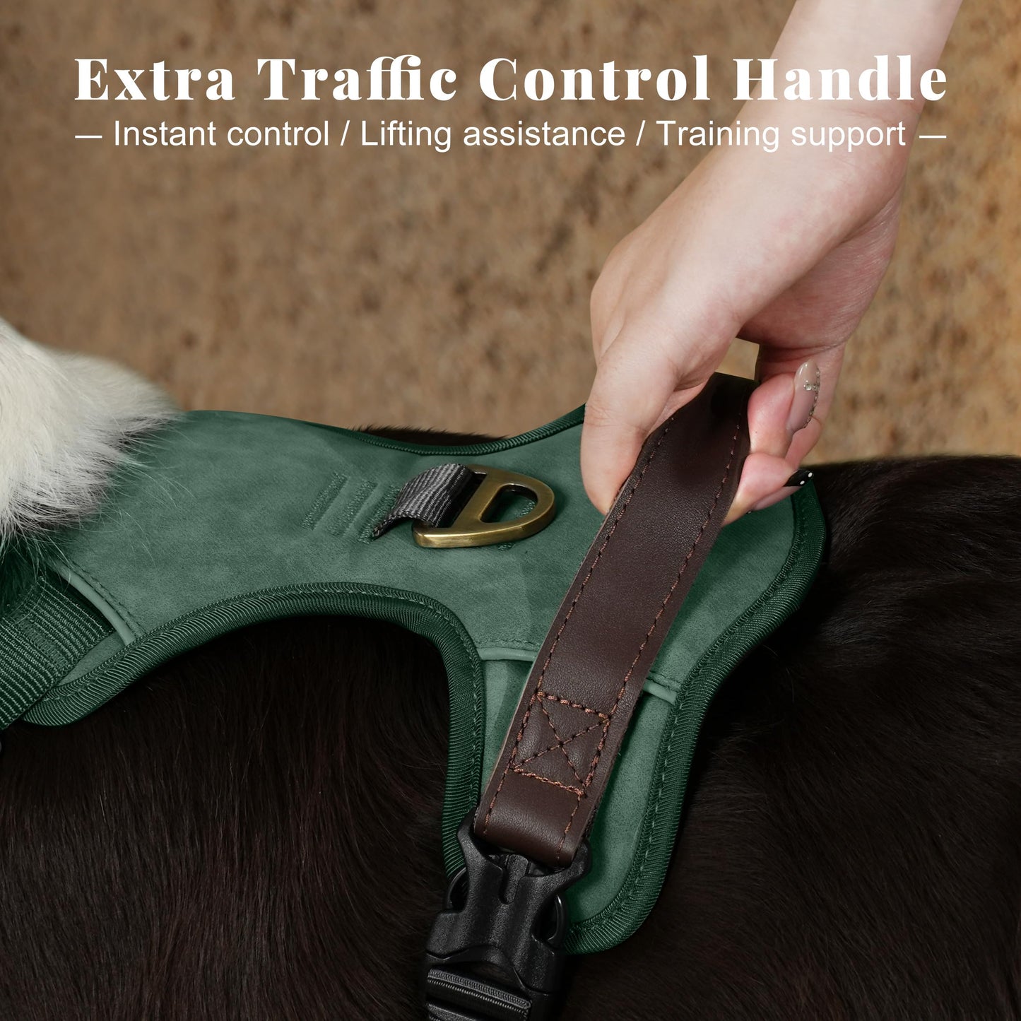 Didog No Pull Dog Harness Small Sized Dog,Classic PU Leather Vest for Small Dogs with Easy Control Handle,No Choke Front Clip,Reflective & Adjustable for Walking,Green,Chest 19-24"