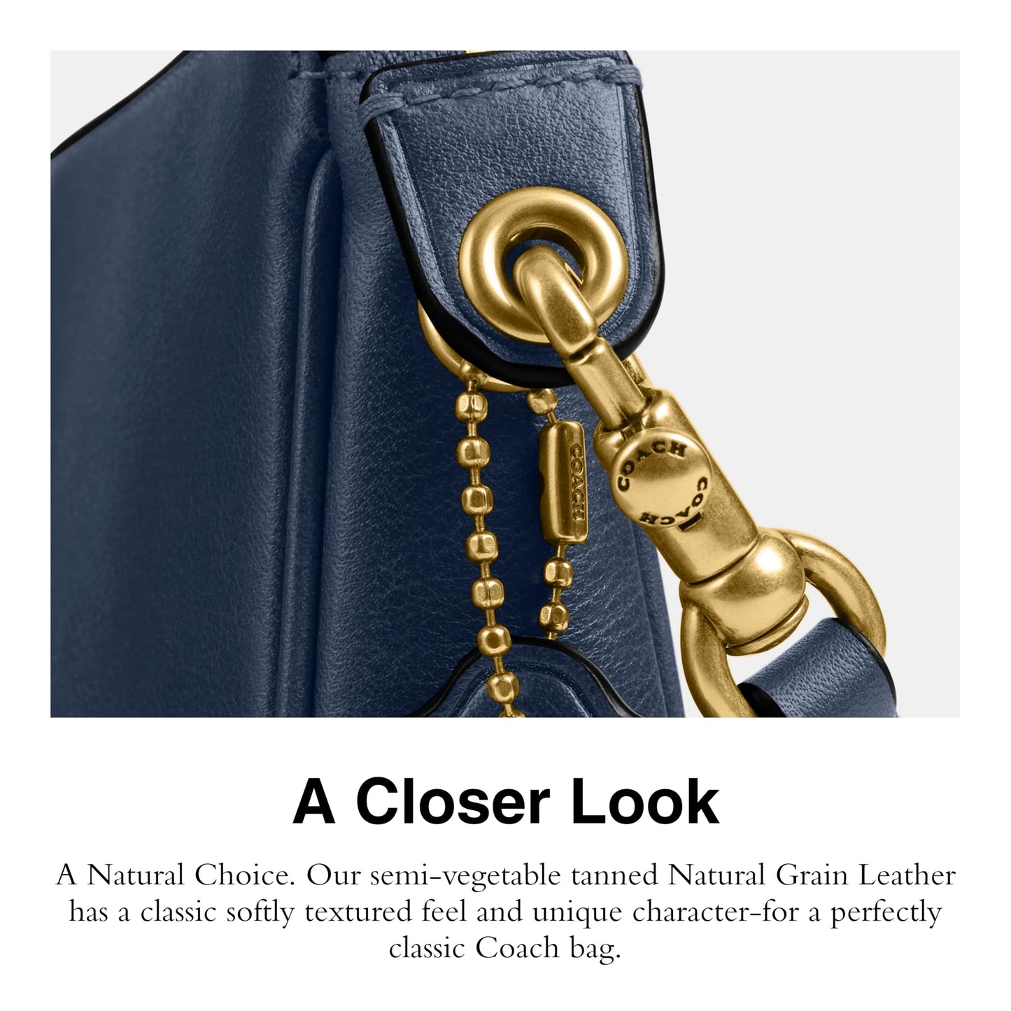 COACH Natural Grain Leather Plaza Bag