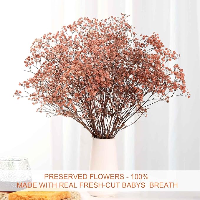 Babys Breath Dried Flowers Bouquet-17'' 4500+ Ivory Dry Flowers, Natural Gypsophila Branches for Wedding, Home Table Vase Decor, DIY Wreath Floral, Fall Thanksgiving Autumn Decoration (Brown, 5oz)