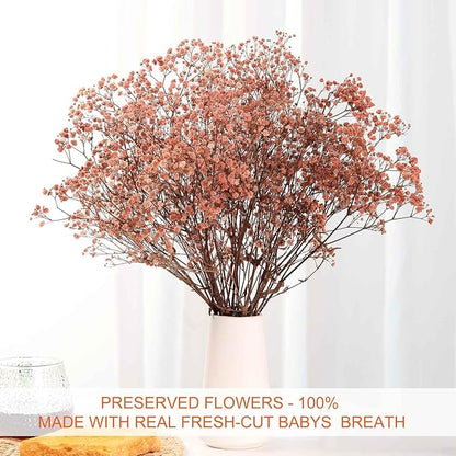 Babys Breath Dried Flowers Bouquet-17'' 3200+ Ivory Dry Flowers, Natural Gypsophila Branches for Wedding, Home Table Vase Decor, DIY Wreath Floral, Fall Thanksgiving Autumn Decoration (Brown, 3.5oz)