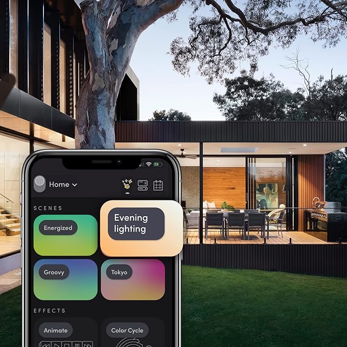 BR30 Smart Light
