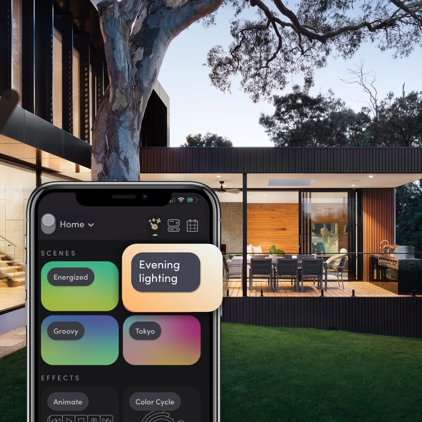 BR30 Smart Light