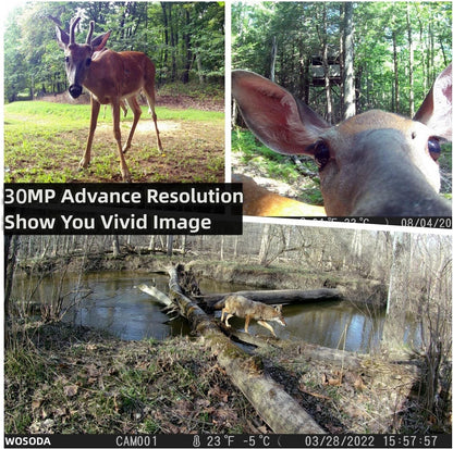 WOSODA 2 Pack Trail Camera with Night Vision Motion Activated Waterproof,30MP Hunting Game Camera,1080P HD Trail Cam with SD Card for Wildlife Monitoring,Outdoor Scouting & Security