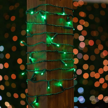 Novelty Lights 12-Pack, 50 Feet 100 LED Green Christmas Mini Light String on Green Wire, 5mm Wide Angle Bulbs, Connectable, Indoor/Outdoor Decor, UL Listed