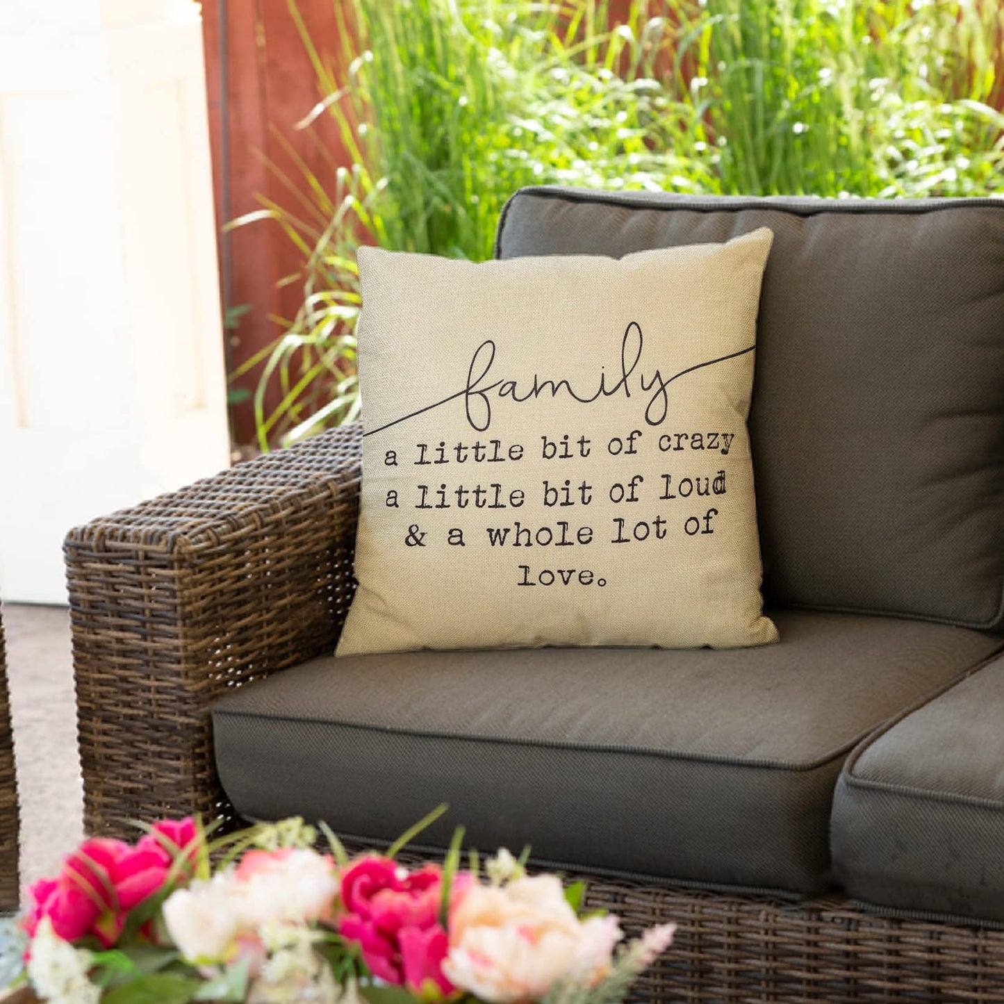 Fjfz Family a Little Bit of Crazy Decorative Throw Pillow Covers, Farmhouse Quote Home Rustic Decorations, Christmas Inspirational Gifts Winter Cotton Linen Cushion Case Decors for Sofa Couch 18 × 18