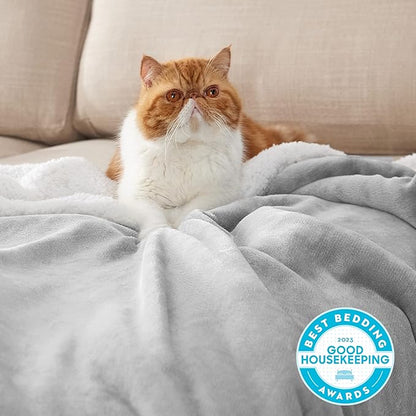 Bedsure GentleSoft Sherpa Fleece Throw Blanket Twin Size for Couch - Thick and Warm, Soft Fuzzy Plush Twin Blanket for Winter, Light Grey, 60x80 Inches