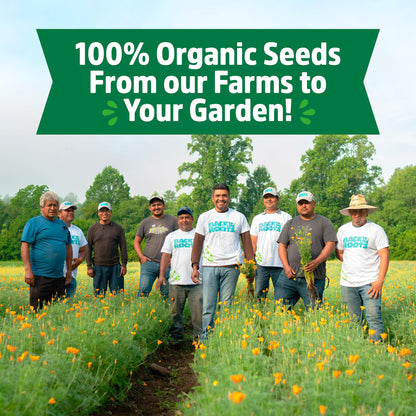 Back to the Roots Heirloom Organic, Non-GMO & USA Grown Seeds, 30ct Herb, Fruit, and Veggies, Assortment May Vary, Guaranteed to Grow