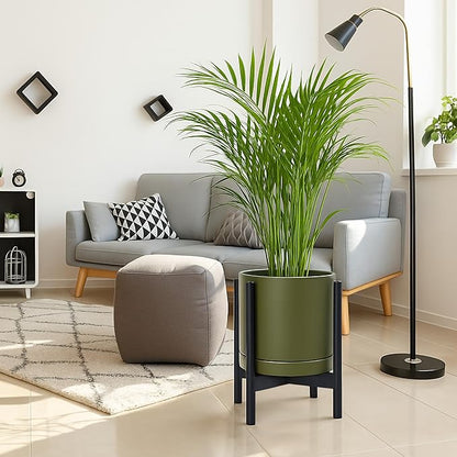 D'vine Dev Ceramic Planter with Ebony Stand - 12 Inch Modern Round Flower Pot with Wood Planter Holder, Olive, 55-B-H-J