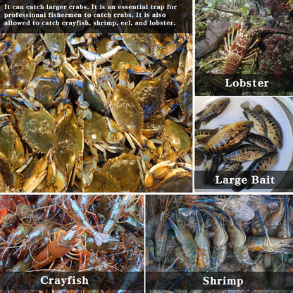 Drasry Crab Trap Bait Lobster Crawfish Shrimp Portable Folded Cast Net Magic Collapsible Fishing Traps Nets Accessories for Blue Crabs 2PCS (23 in * 9.8 in) Green (0.61 in Mesh)