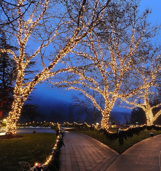 Novelty Lights 50ft 100 LED Sun Warm White Christmas Lights Outdoor/Indoor, 6" Spacing, Green Wire String Lights for Festive Xmas Lighting, IP55, UL Listed, Dimmable, Connectable