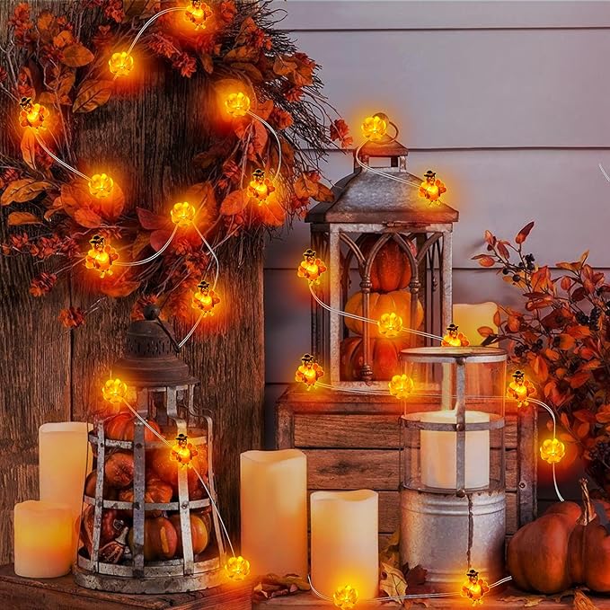 10 Ft 30 LED Thanksgiving Decorations Turkey Pumpkin String Lights, Thanksgiving Lights Decorations Battery Operated Turkey Lights Copper Wire Fairy Lights for Party Home Indoor Decor