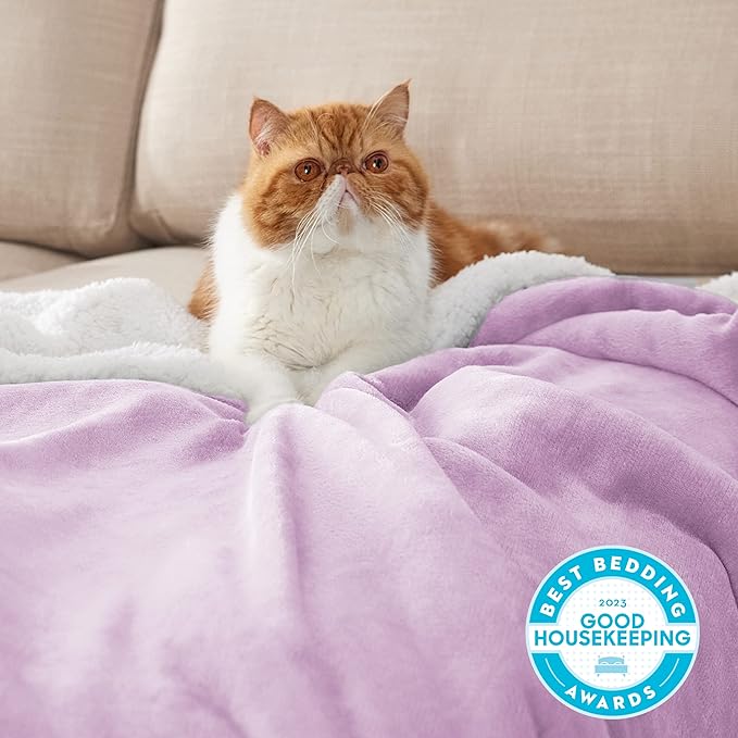 Bedsure GentleSoft Sherpa Fleece Throw Blanket Twin Size for Couch - Thick and Warm Throw for Girls, Soft Fuzzy Plush Twin Blanket for Winter, Lilac, 60x80 Inches