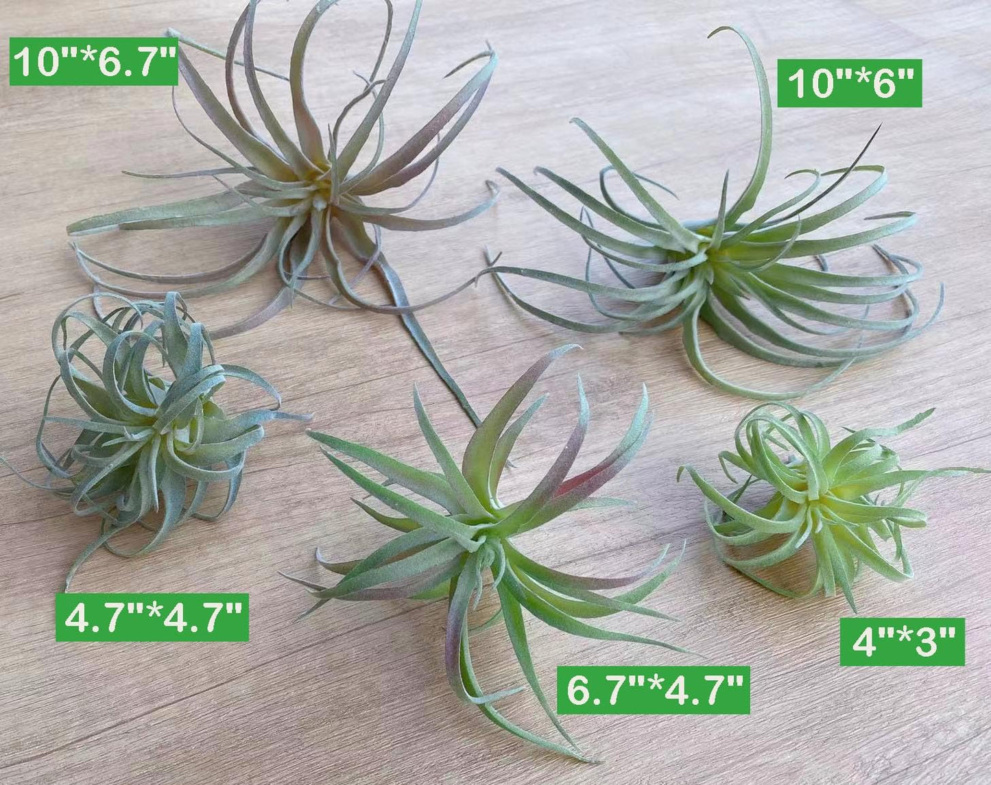Casktcom® Large Green Real Touch Faux Air Plants, Lifelike Fake Tillandsia Pick, Artificial Air Plants for DIY Garden Wedding Home Decor — No Care Needed 5 pcs