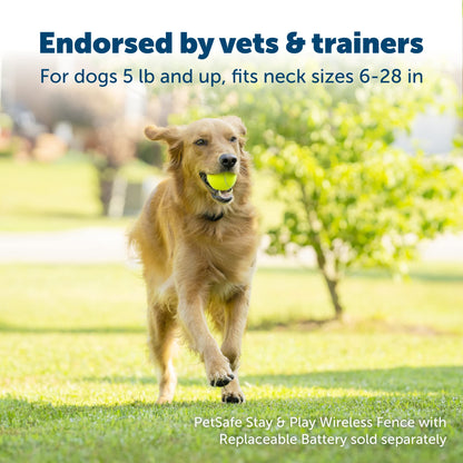 PetSafe Stay & Play Wireless Pet Fence with Replaceable Battery Collar – for Dogs & Cats Over 5 lb – Waterproof Receiver Collar Tone & Static Correction – from Parent Company of Invisible Fence Brand
