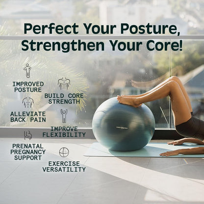 Retrospec Luna Exercise Ball - 55, 65, or 75cm Yoga Ball for Workouts, Stability, Pregnancy - Swish Balance Ball w/Pump & Base for Office & Home Gym, 65cm, Black
