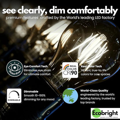 EcoBright 8PK Dimmable A19 LED Filament Bulb, 10W (100W Equivalent), E26 Base, 1100 Lumens, CRI90+, Flicker-Free Clear Glass, Energy Star Title 20, Daylight 5000K,